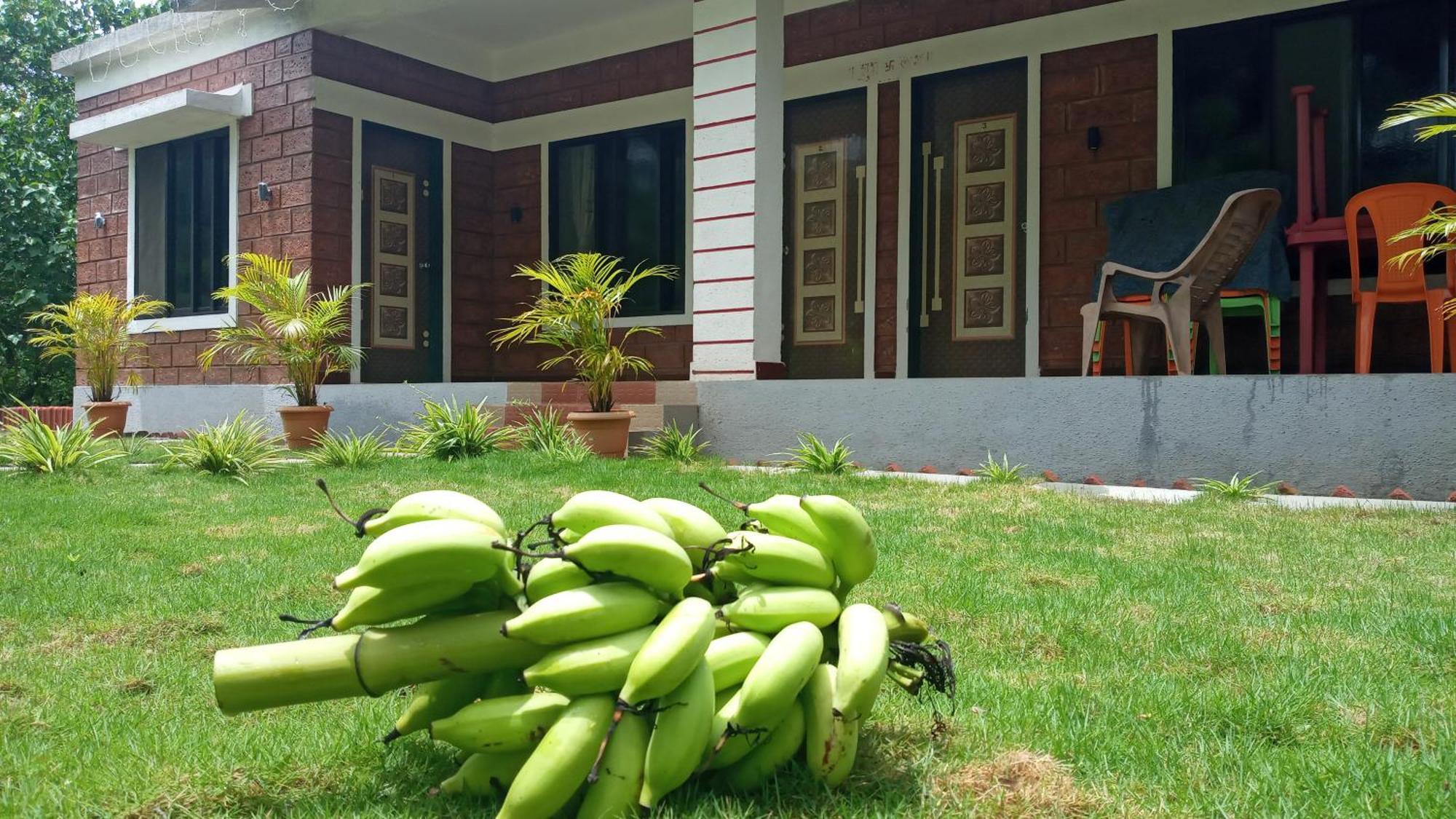 Coconut Village Homestay *
