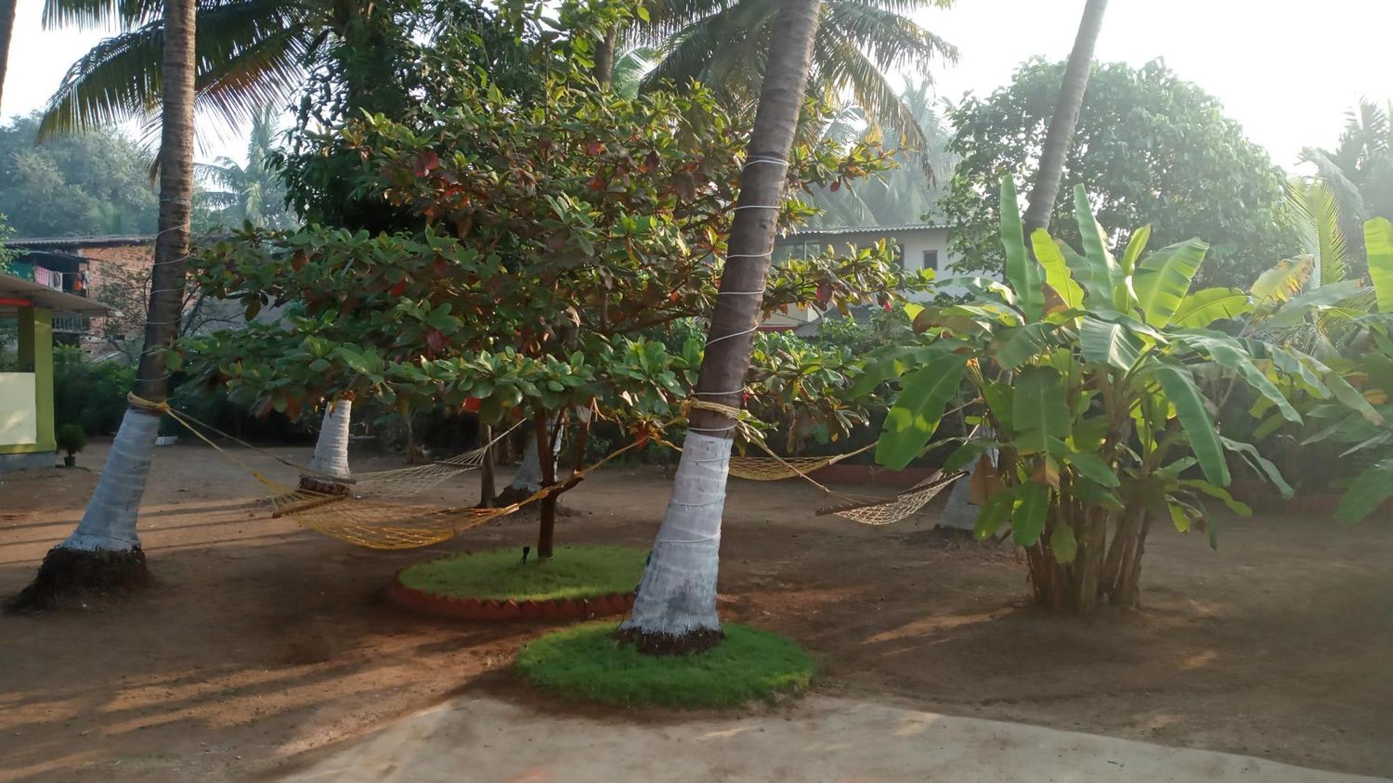Coconut Village Homestay Alibag