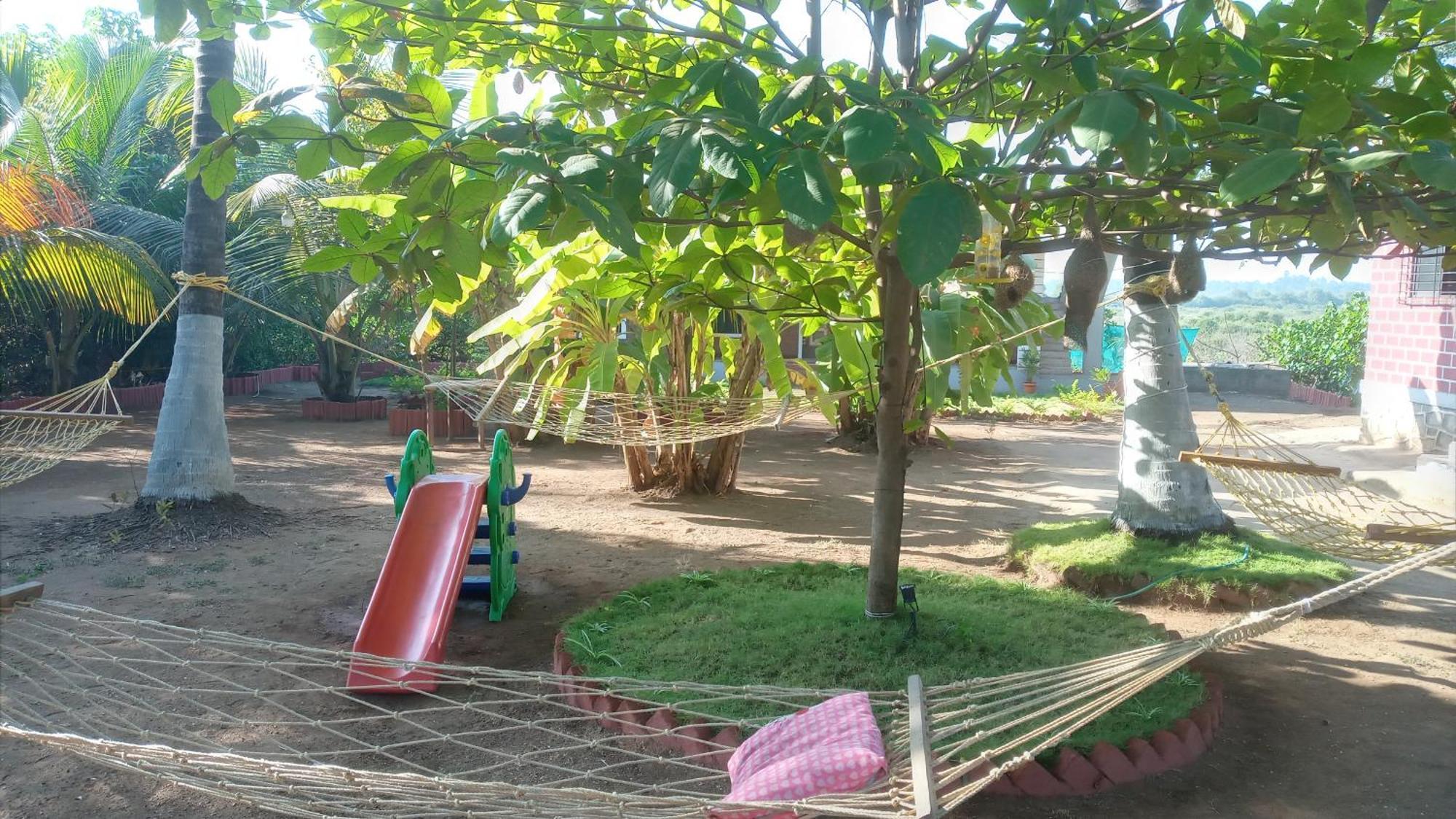 Homestay Coconut Village
